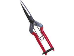 CHIKAMASA ߐ T-700  ےn ܓ