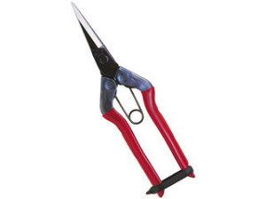 CHIKAMASA ߐ  뒼n  T-551