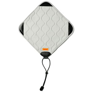 Kodak �R�_�b�N �J�������b�v M ���C�g�O���[