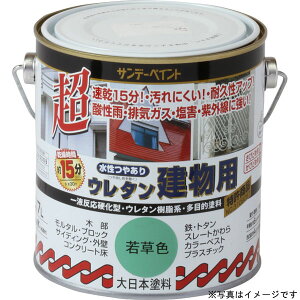 SUNDAY PAINT Tf[yCg E^p cPV 700ml