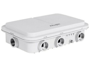 Ruijie Networks 屋外型無線アクセスポイント Mesh対応 RG-AP680-CD-JP