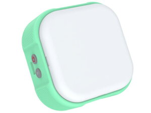 IFOOTAGE �A�C�t�b�e�[�W Anglerfish HL1 C4 GR(�O���[��) LED���C�g