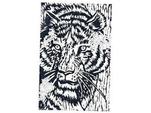 ARTEC y10Zbgz ARTEC pŖ C 4{(300x200x10) ATC20312X10