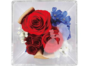 Gelt[ fBYj[vZX(Ɩb) 2022DO-002SH