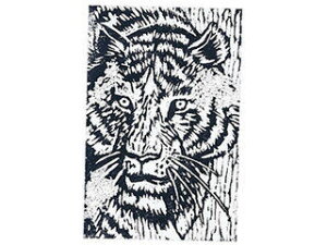 ARTEC ARTEC �p�Ŗ� B �{��(200x150x10) ATC20311