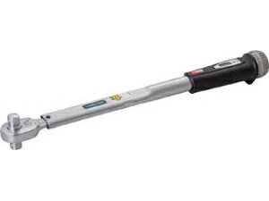 TONE/gl vZbg`gN` _CNgZbgEElWp T4MN100R