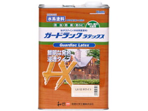 Washin aMyCg GbNebNX zCg 3.5kg #952262