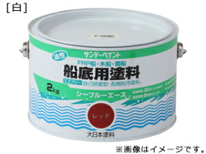 SUNDAY PAINT Tf[yCg V[u[G[XDh  2K