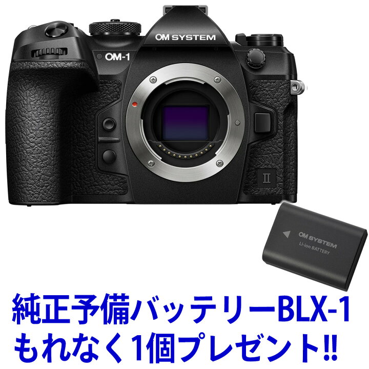OM SYSTEM OM-5 ミラーレス一眼カメラ 予備バッテリー付き