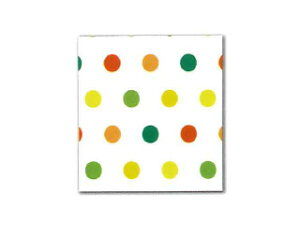 ARTE �A���e �y�[�p�[�K�[�f�� 297mm×420mm 5���� PGO-A3-20