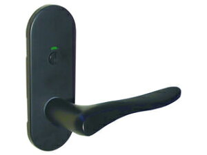 MARUKI ۊ{ GM o[nh LIMITED TXS-1K42 \ B/S51 }bgubN D-9001K42U