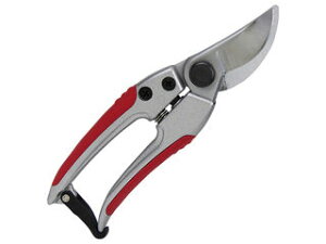 SENKICHI/g ₷ SGP-51