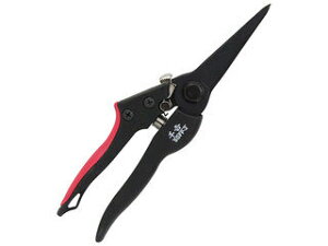 SENKICHI g GF  SGFP-2