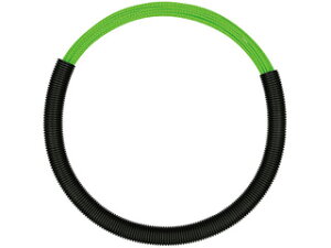 SK11 cCXgC (ʐH) DVC-TW430