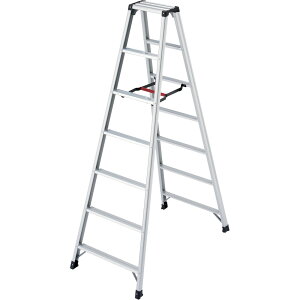 Hasegawa/JH yszA~pr ry RZ^ 7i RZ-21C