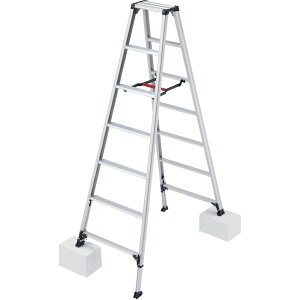 Hasegawa/JH yszpr ry RZS 7i(rk) RZS-21A