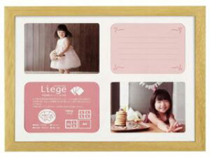 HAKUBA nNo FWLGC-NTA4T(i`) tHgt[ G[W VeA4