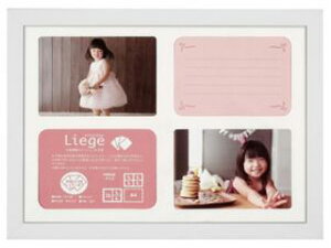 HAKUBA nNo FWLGC-WTA4T(zCg) tHgt[ G[W Ve A4