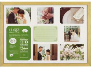 HAKUBA nNo FWLGC-NTA3T(i`) tHgt[ G[W Ve A3 FWLGCNTA3T