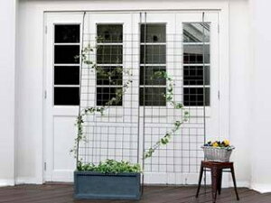 Z܂X^C ACAO[J[e Ot 2g IFGC014-2P-SLV n}[g[Vo[ s J[h EkCE͂тɎԎws