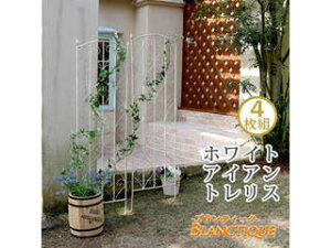 Z܂X^C ueB[N zCgACAgXH147 4g SPL-8923-4-WHT zCg s J[h EkCE͂тɎԎws