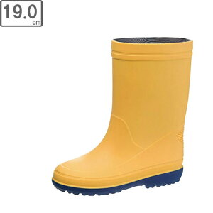 ASAHI ATqV[Y Cu[c LbY 19.0cm 2E (CG[) ATqR304