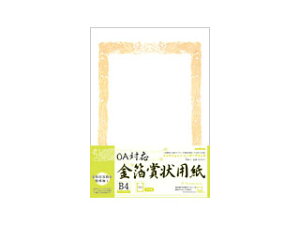 Okina/ILi OAΉ܏p B4  5 SGB4Y