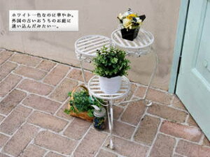 Z܂X^C ueB[N zCgACAt[X^h ی^ SPL-6634WHT s J[h EkCE͂тɎԎws