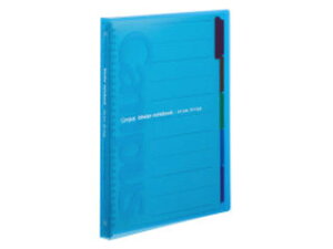 KOKUYO/RN XChoC_[(X)PP\A4c30 -P173B