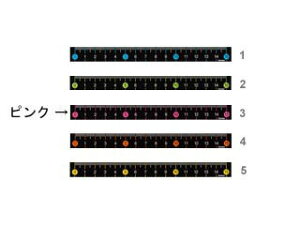 Raymay/CC XJ[K15cm sN AJR201 P