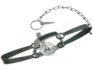 Sakae/hH ߊl gbv C type No.401 ΏۓnNrVEACO}ELcl AG-1