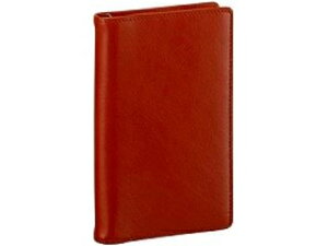 RF/Raymay Fujii/���C���C �V�X�e���蒠 JDP3009C