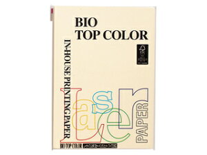 mondi/fB mondi/fB oCIgbvJ[PPC A4 N[ BT101 100