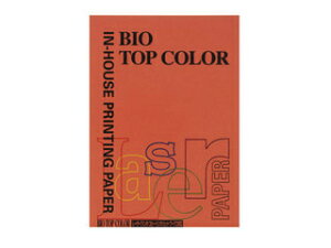 mondi/fB mondi/fB oCIgbvJ[PPC A4 ubNbh BT119 100