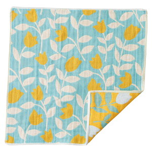 Pocchi 3dK[[nJ` WX~[