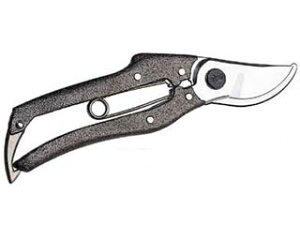 NISHIGAKI/jVKLH  v200 200