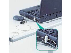 y}Cio[zyZLeB΍zylیz TTvC p\R}EXZLeB SL-21