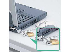 【マイナンバー】【セキュリティ対策】【個人情報保護】 サンワサプライ パソコン&マウスセキュリティ SL-21K