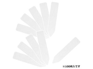 ZteB3 |px񂴂100 60mm