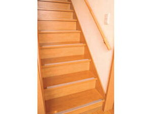 \[S \[S@^CvKi̊~߁@14{g@803313