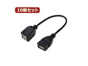 �ϊ����l �ϊ����l �y10�Z�b�g�z USB�P�[�u��20 A(���X) to B(���X) USBAB/BB20X10