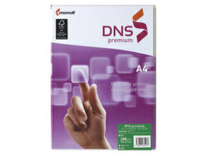 itoya/ɓ DNSv~A A4 DNS504