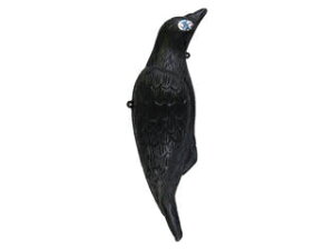 COMPAL �R���p�� ��^�J���X