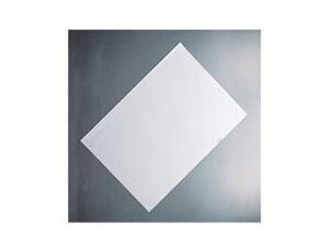 LIHIT LAB./qgu J[N[z_[ A2 F-119-1