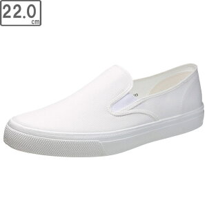 ASAHI/ATqV[Y KF37001 ATq 501 Xb|Xj[J[ y22.0cmE2Ez (zCg )