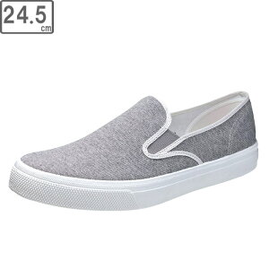 ASAHI/ATqV[Y KF37003 ATq 501 Xb|Xj[J[ y24.5cmE2Ez (O[)