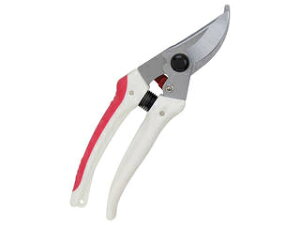 SENKICHI/g K[f TbN SGP 43