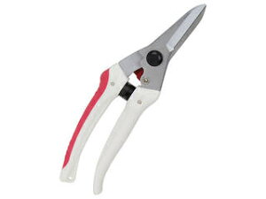 SENKICHI/g K[fؙ TbN SGP 44