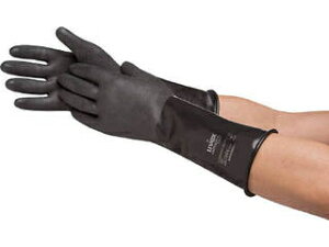 uvex/ExbNX vt@u` B05R LTCY 6094969