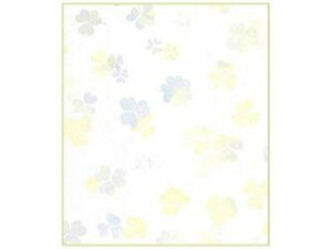 MIDORI/~h J[FS N[o 33042006